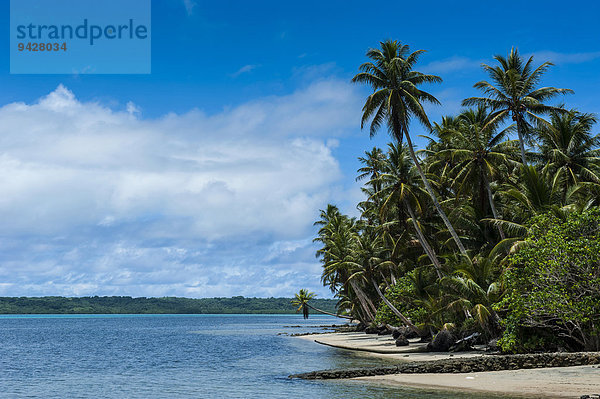 Weißer Sandstrand und Palmen  Insel Yap  Westkarolinen  Mikronesien