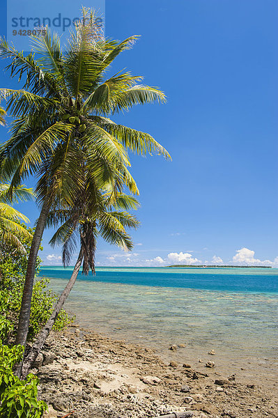 Küste und Korallenriff  Cocos Lagoon Lagune  Merizo  Guam  US-Territorium  Pazifik