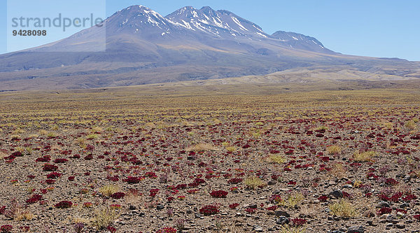 Atacamawüste  San Pedro de Atacama  Chile  Südamerika