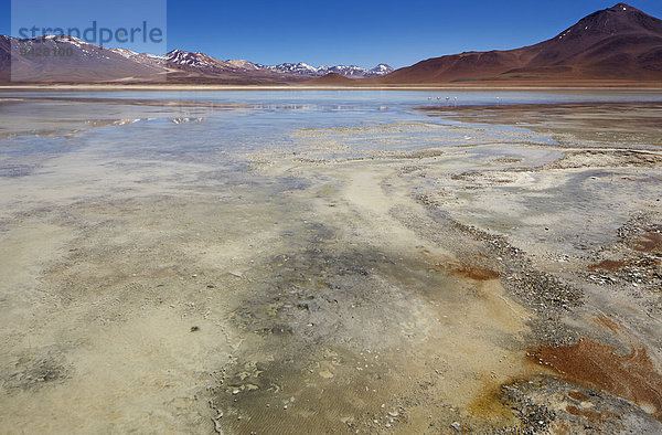 Laguna Blanca  Altiplano  Potosi  Bolivien  Südamerika