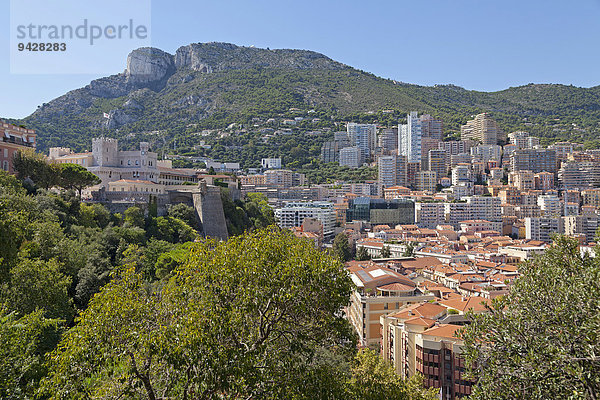 Fürstenpalast und Stadt  Monaco