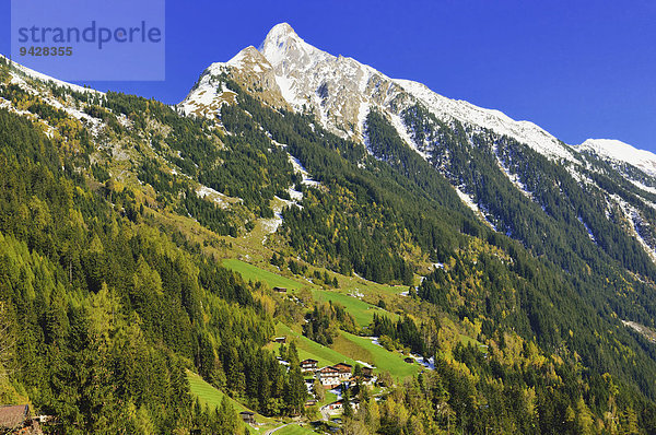 Mit Neuschnee bedeckter Gipfel  Brandberger Kolm  2700m  Brandberg  Zillertal Alpenhauptkamm  Tirol  Österreich