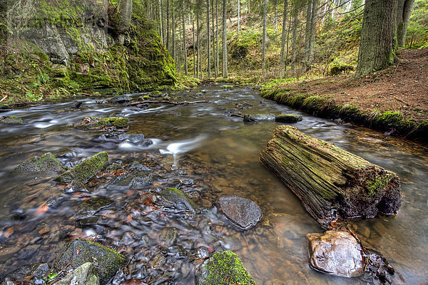 Wasserlauf in der Rötenbachschlucht im Schwarzwald  Baden-Württemberg  Deutschland  Europa