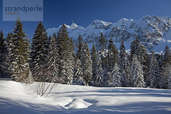 Winterlandschaft im Alpstein mit Neuschnee  Appenzell  Schweiz  Europa