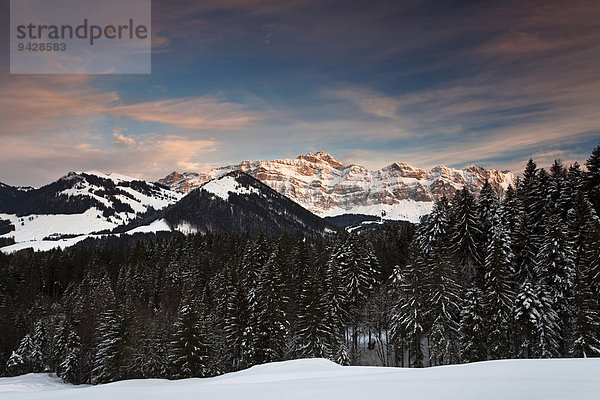 Abendstimmung auf der Hochalp mit Blick zum Alpstein  Schweiz  Europa