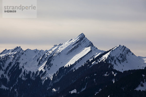 Blick zum Speer im Winterkleid im Toggenburg in den Schweizer Ostalpen  Schweiz  Europa