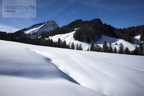 Blick zum Stockberg im verschneiten Alpstein im Appenzell  Ostschweiz  Schweiz  Europa