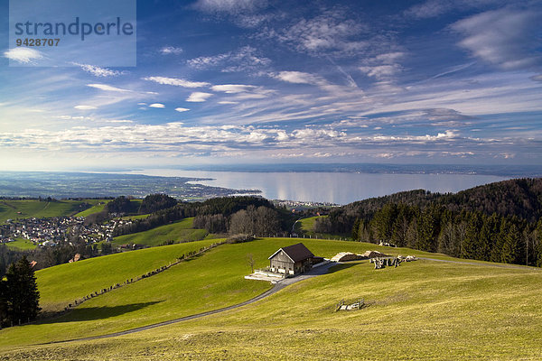 Frühlingslandschaft auf dem Gupf mit Blick zum Bodensee  Rorschacherberg  Bodensee  Schweiz  Europa