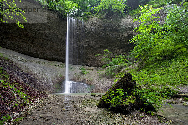 Der Giessen Wasserfall mit Nagelflugfels  Wil  Kanton St Gallen  Schweiz  Europa