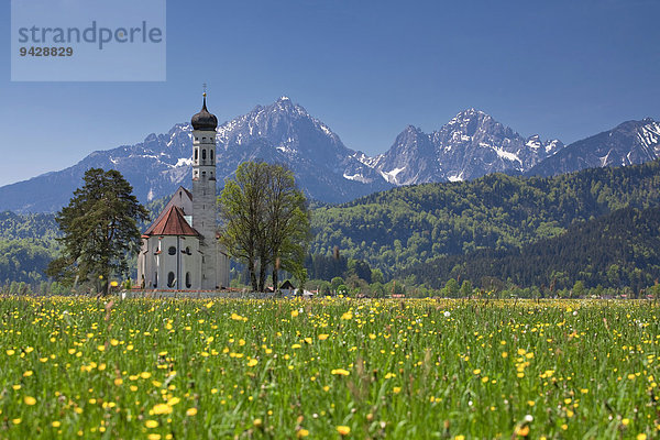 Kirche St. Coloman in der Nähe vom Tegelberg und Schloss Neuschwanstein  Schwangau bei Füssen  Allgäu  Bayern  Deutschland  Europa