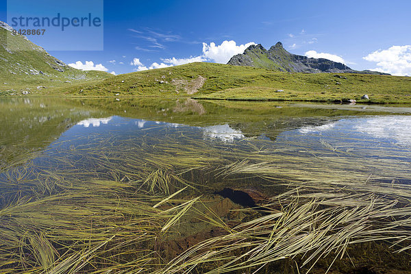 Abend am Berglimattsee  Kanton Glarus  Schweiz  Europa