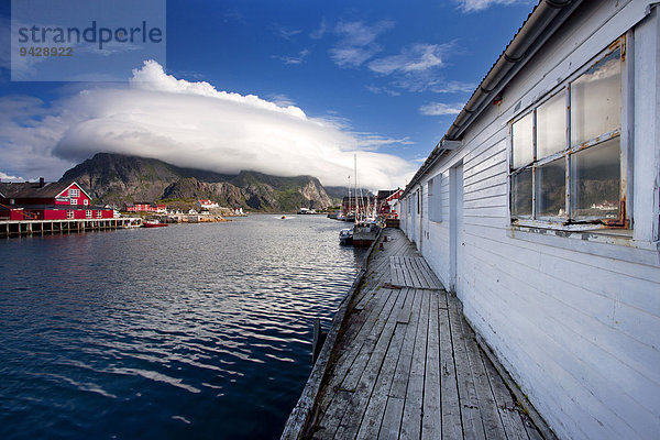 Hafen von Henningsvaer auf den Lofoten  Norwegen  Europa