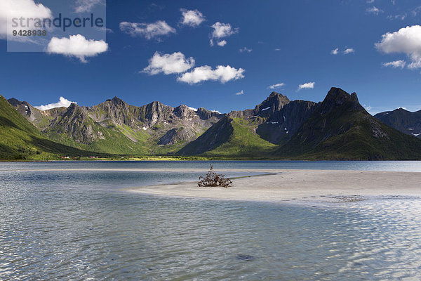 Sandbank in einer Bucht auf den Lofoten im Sommer  Norwegen  Europa