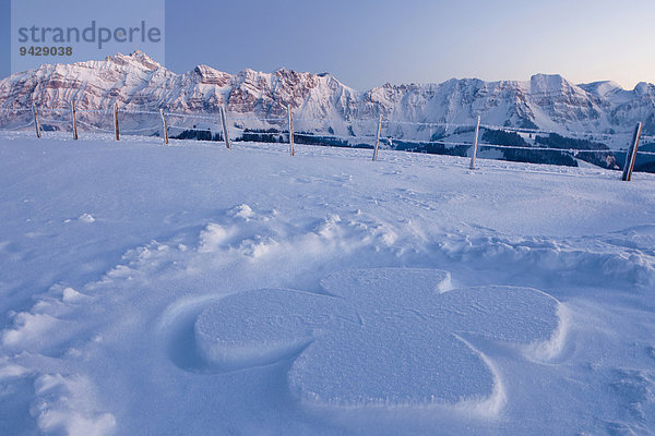 Abendstimmung mit Schneekleeblatt auf der winterlichen Hochalp  Alm  in den Schweizer Alpen  Alpsteingebiet mit Säntis  Schweiz  Europa