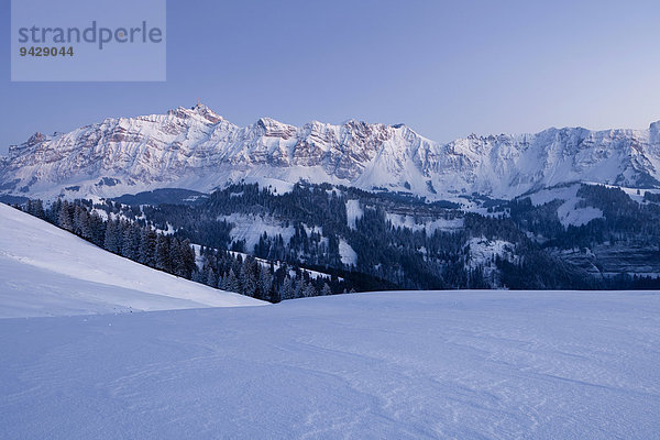 Abendstimmung auf der winterlichen Hochalp  Alm  in den Schweizer Alpen  Alpsteingebiet mit Säntis  Schweiz  Europa
