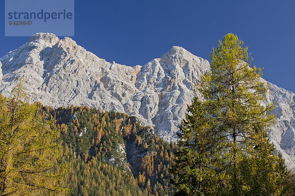 Blick auf die Zugspitze im Herbst  Deutschland  Österreich  Europa