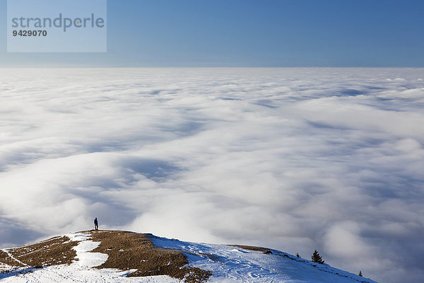 Einsamer Wanderer über dem Nebelmeer  Hochnebel  auf der Fähnerenspitze im Appenzell  Schweiz  Europa