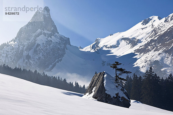 Schneelandschaft  Fälensee und Bollenwees  Alpstein  Alpen  Appenzell  Schweiz  Europa