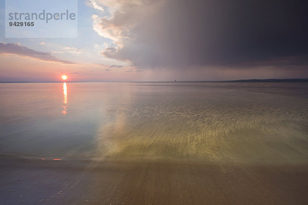 Blick auf den Bodensee im Abendlicht und Gewitterstimmung  Bodenseeufer bei Bregenz  Rohrspitz  Österreich  Europa