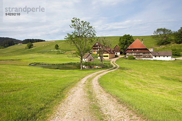 Bauernhof bei Hornberg im Schwarzwald  Baden-Württemberg  Deutschland  Europa  ÖffentlicherGrund