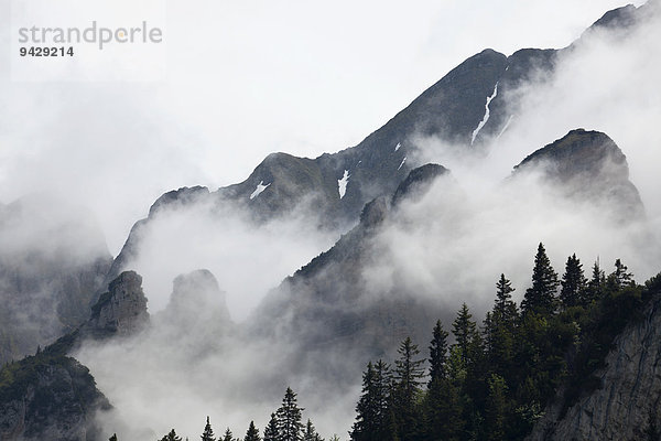 Dramatische Nebelstimmung in den Alpen bei den Churfirsten  Schweiz  Europa