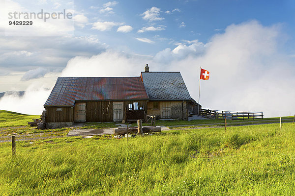 Kleine Alm auf der Fähnerenspitze im Appenzellerland  Schweiz  Europa  ÖffentlicherGrund