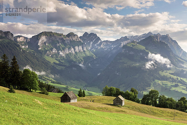 Blick zum Alpstein von der Fähnerenspitze an einem Sommerabend  Appenzell  Schweiz  Europa