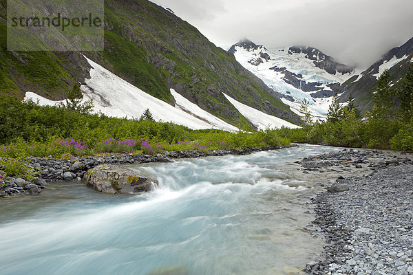 Byrongletscher mit Fluss in der Nähe vom Portage-Gletscher in den Chugach Mountains  Halbinsel Kenai  Alaska  USA