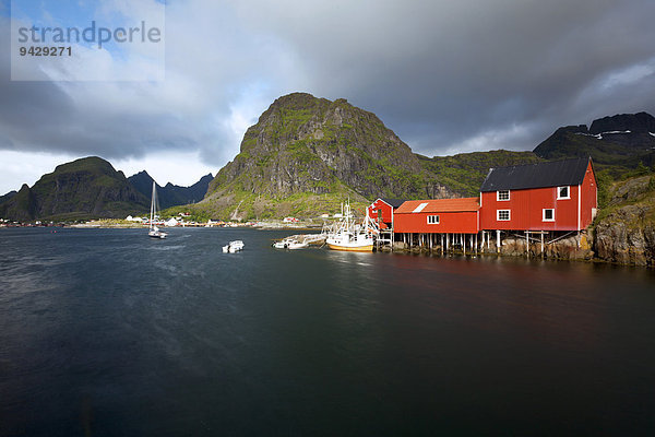 Rote Fischerhäuser in Reine auf den Lofoten  Norwegen  Skandinavien  Europa  ÖffentlicherGrund