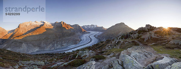Der Aletschgletscher im ersten Morgenlicht von der Moosfluh  Riederalp  Wallis  Schweiz  Europa
