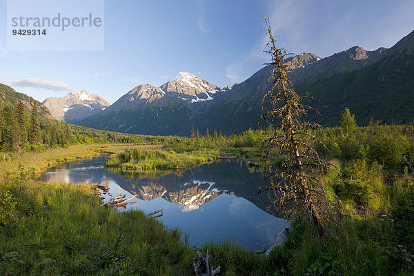 Abendstimmung am Eagle River bei Anchorage  Alaska  USA