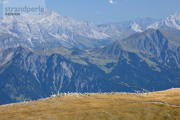 Steinstadt oder Steinmänchen bei der Fünf-Seen-Tour am Pizol  Bad Ragaz  Heidiland  Schweizer Alpen  Schweiz  Europa  ÖffentlicherGrund