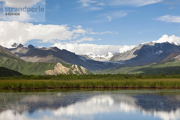 Wasserspiegelung auf einer Hochebene in der Alaska Range in Alaska  USA
