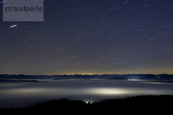Nachts auf dem Hirschberg mit Sternstreifen und Hochnebel in den österreichischen Alpen  Pfänder  Österreich  Europa