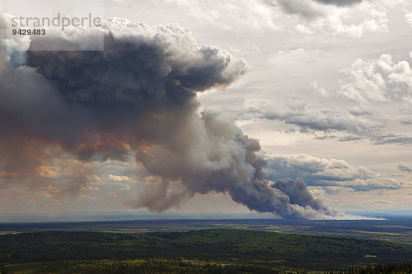 Waldbrand nach einem Blitzeinschlag in der Nähe von Fairbanks  Alaska  USA