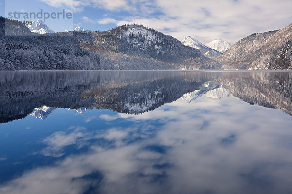 Der ruhige Alpsee spiegelt Berge und Wolken an einem Wintermorgen  Allgäu  Bayern  Deutschland  Europa