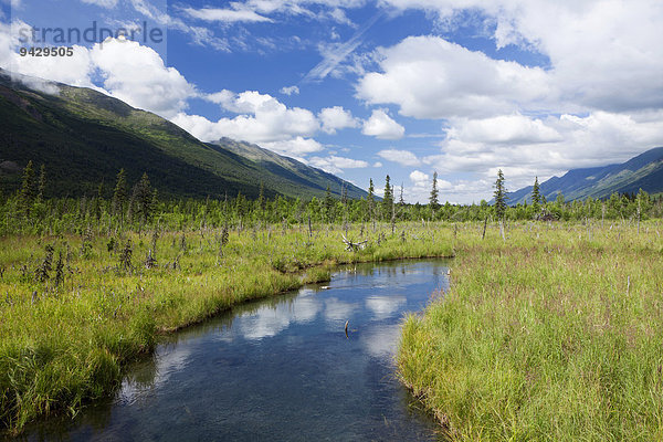 Ein kleiner Fluss beim Eagle River im Chugach State Park in Alaska  USA