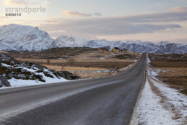 Leere Straße auf den Lofoten im Winter  Norwegen  Europa
