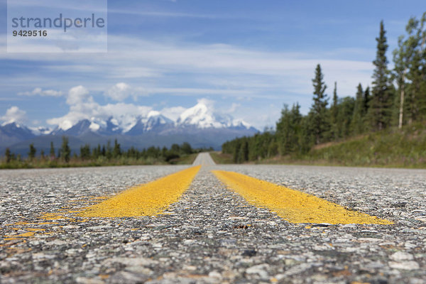 Highway in der Alaska Range  Alaska  USA.