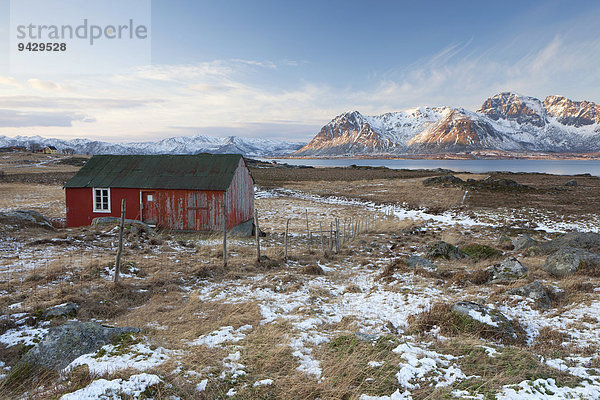Kleine rote Hütte  hinten Berge am Meer  Lofoten  Norwegen  Europa