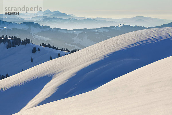 Winterstimmung bei der Hochalp mit Blick zum Rigi und die Ostschweiz  Appenzell  Schweizer Alpen  Schweiz  Europa  ÖffentlicherGrund