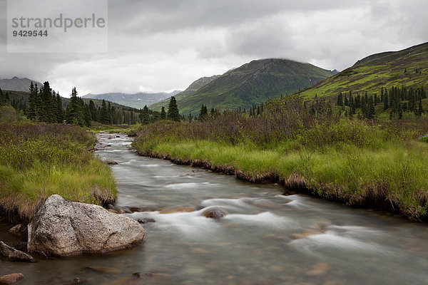 Der Willow Creek Fluss in den Talkettna Mountains  Alaska  USA