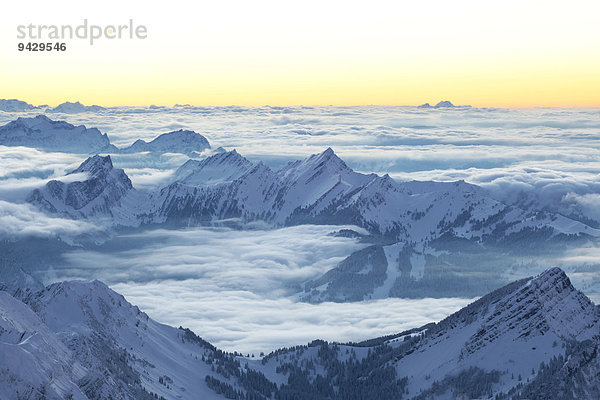 Winterliche Abendstimmung mit Blick auf Speer und die Innerschweiz oder Zentralschweiz vom Säntis  Alpstein  Appenzell  Schweiz  Europa