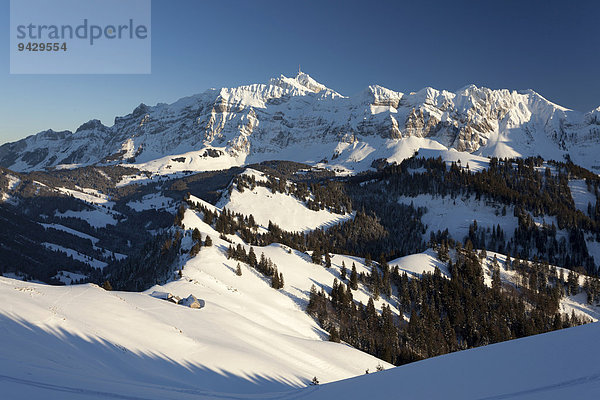 Blick von der Hochalp auf den Alpstein mit Säntis  Appenzell  St. Gallen  Schweizer Alpen  Schweiz  Europa  ÖffentlicherGrund