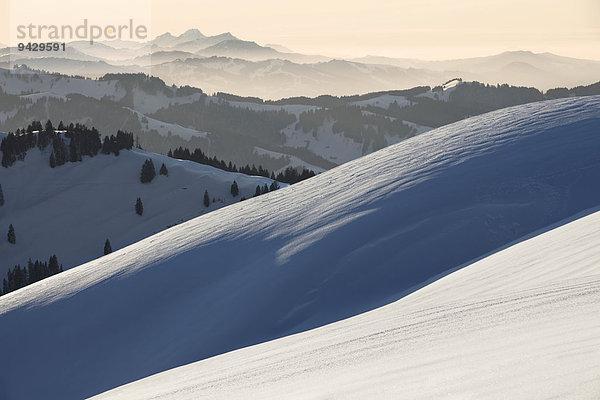 Blick von der Hochalp auf den Rigi und Pilatus im Winter  Appenzell  St. Gallen  Schweizer Alpen  Schweiz  Europa  ÖffentlicherGrund