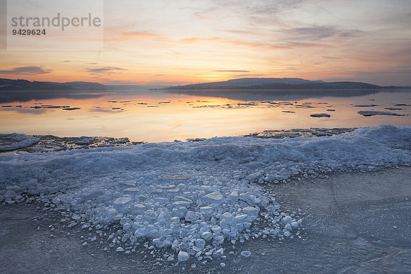 Eis am Bodensee im Abendlicht  an der Sandseele  Insel Reichenau  Baden-Württemberg  Deutschland  Europa  ÖffentlicherGrund