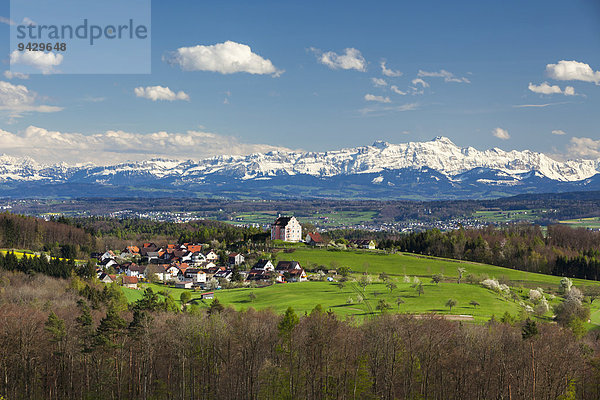 Alpensicht im April mit Säntis  Alpstein und dem Schloss in Freudental  Bodenseeregion  Baden-Württemberg  Deutschland  Europa  ÖffentlicherGrund
