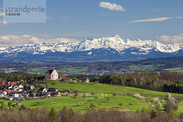Alpensicht im April mit Säntis  Alpstein und dem Schloss in Freudental  Bodenseeregion  Baden-Württemberg  Deutschland  Europa  ÖffentlicherGrund