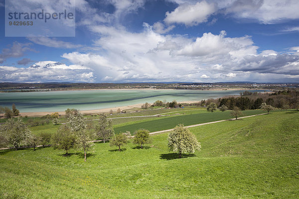 Frühlingshafte Kulturlandschaft bei Ermatingen am Bodensee  Schweiz  Europa  ÖffentlicherGrund