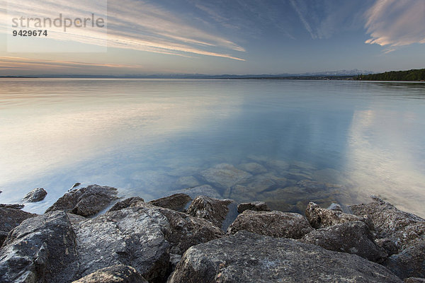 Morgenstimmung am Bodensee  Fährhafen bei Staad in Konstanz  Baden-Württemberg  Deutschland  Europa  ÖffentlicherGrund